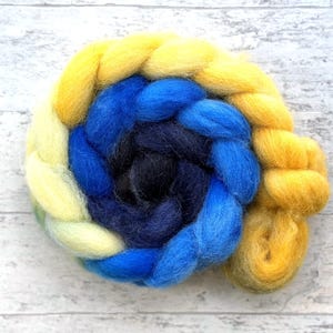 Hand Dyed Wool Roving - Spinning Fiber - Gradient Cheviot Wool - #CH306
