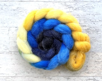 Hand Dyed Wool Roving - Spinning Fiber - Gradient Cheviot Wool - #CH306