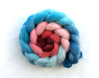 Hand Dyed Wool Roving - Gradient Falkland Wool - #F242