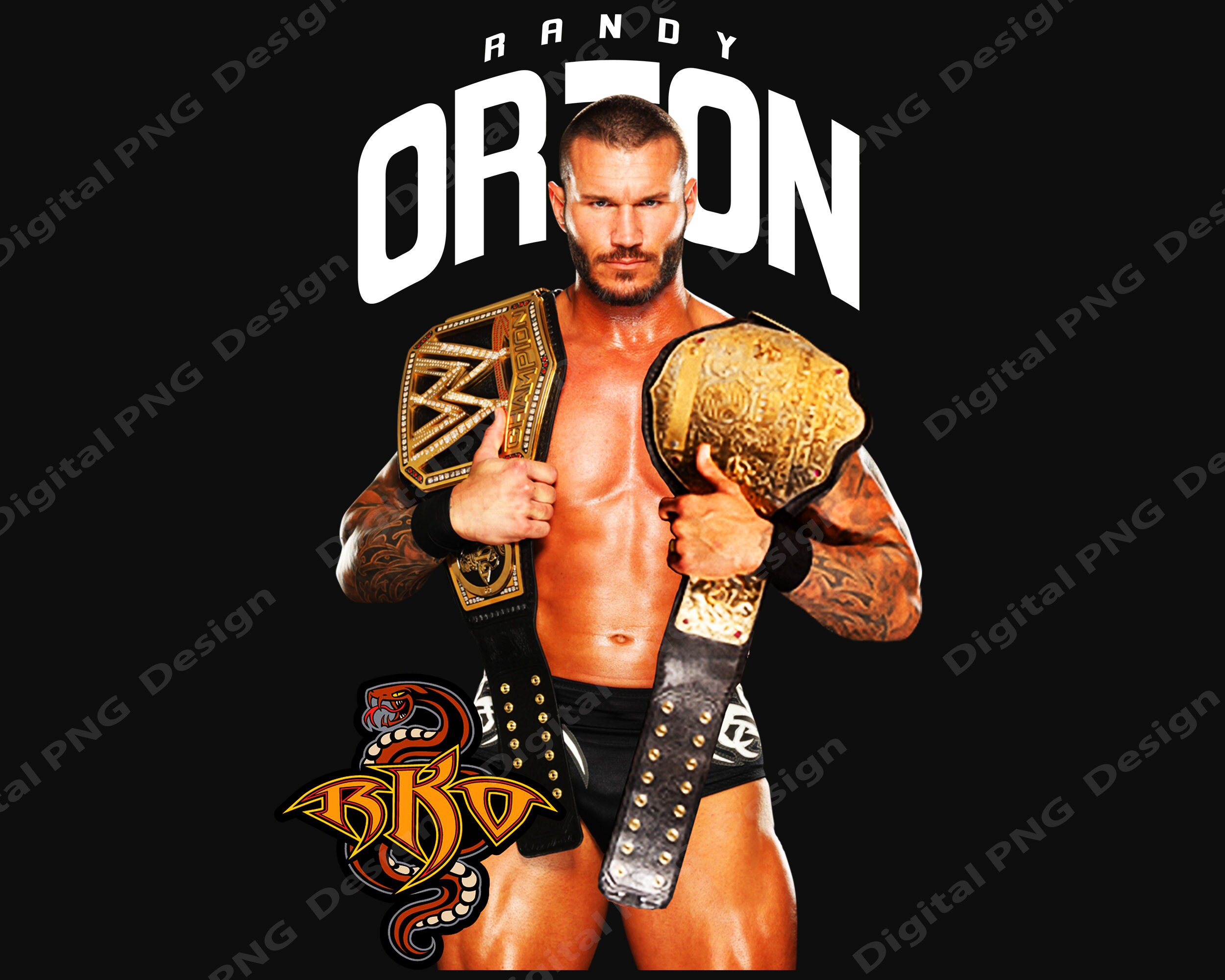 WWE T-shirt / 2013 Randy Orton / WWE Wrestling / 90s TV Show 