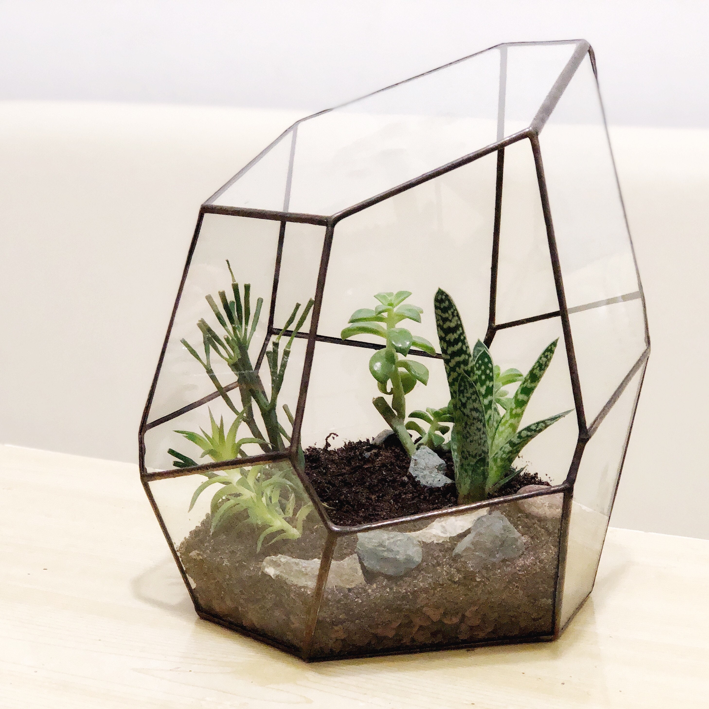 Digital printable pattern geometric terrarium. Project 0313 Etsy