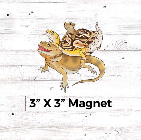 Reptile The Reptile Crew Reptile Accessories Etsy