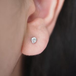 Può includere: Un piccolo orecchino a lobo a forma di teschio argentato è mostrato nell'orecchio. L'orecchino è una forma di teschio in miniatura dettagliata. La pelle intorno all'orecchio è chiara e lo sfondo è sfocato.