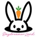 DaydreamerLand store logo