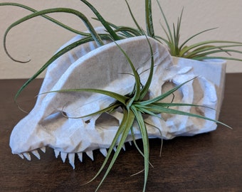 Diplo the Dilophosaurus Dino Pot met planten, Skull Air Plant Planter - niet-giftig materiaal