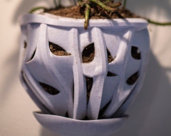 Large Hanging Wall Orchid Planter (8'' OD)  Unique Ivy, Coral, Twisted Root Design - Nontoxic Material