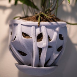 May include: A light purple, 3D printed planter with a geometric design. The planter is filled with soil and a green plant is growing out of it.
