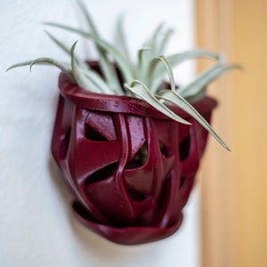 Op de afbeelding: Een bordeauxrode, 3D-geprinte plantenpot met een geometrisch ontwerp, waarin een kleine luchtplant met lange, dunne, lichtgroene bladeren groeit.
