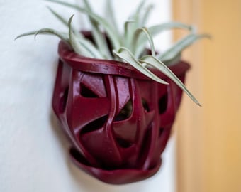 Mini Hanging Wall Orchid Planter (4.5'' OD)  Unique Ivy, Coral, Twisted Root Design - Nontoxic Material