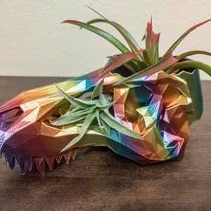 Könnte beinhalten: Ein regenbogenfarbener, schillernder Dinosaurierschädel-Pflanztopf mit einer grünen Luftpflanze darin.