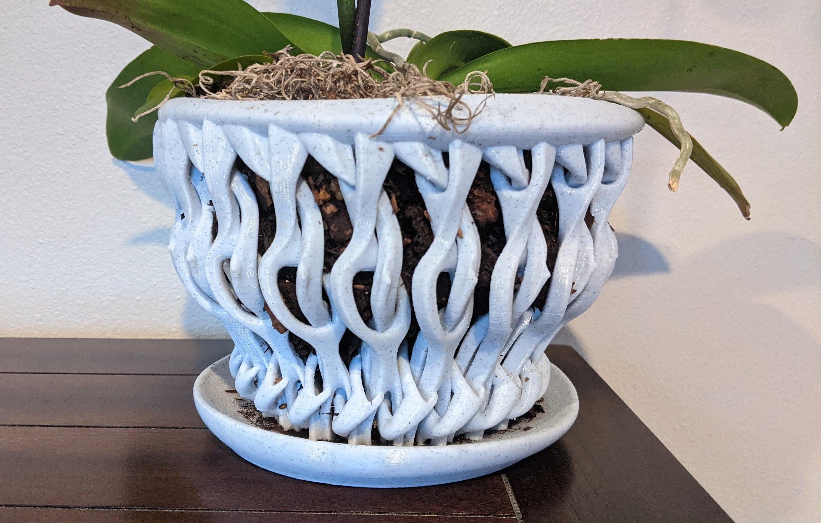 Medium (5.5'' OD) Orchid Pot - Unique Ivy, Coral, Twisted Root Design - Nontoxic Material