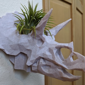 Tyson the Triceratops Planter mit Pflanzen - DAS ORIGINAL! - Ungiftiges Material - Air Plant Planter