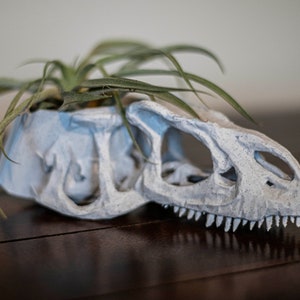 Ally the Allosaurus Skull Planter with Plants - THE ORIGINAL! - Nontoxic Material - Air Plant Planter