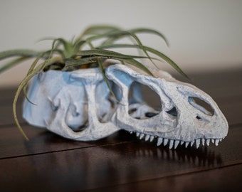 Ally the Allosaurus Skull plantenbak met planten - HET ORIGINEEL! - Niet-giftig materiaal - plantenbak voor luchtplanten