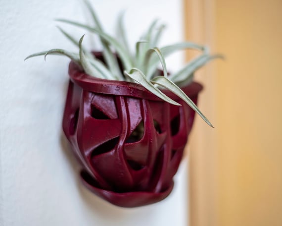 Mini-Orchideen-Blumenampel (4,5 '' OD) Einzigartiges Efeu-, Korallen-,  Twisted-Wurzel-Design - Ungiftiges Material - Etsy Schweiz