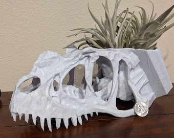 GROTE dinosaurusschedelplantenbakken: ceratosaurus, cryolophosaurus en allosaurus