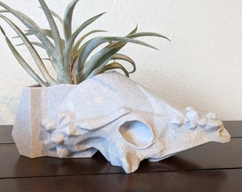 Patchy the Pachysaurus Dino Planter met planten - Skull Air Plant Planter - HET ORIGINEEL! - Niet-giftig materiaal
