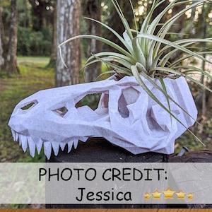 LARGE Dino Skull Planters -T-Rex, Dilophosaurus, and Pachycephalosaurus