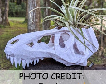 LARGE Dino Skull Planters -T-Rex, Dilophosaurus, and Pachycephalosaurus