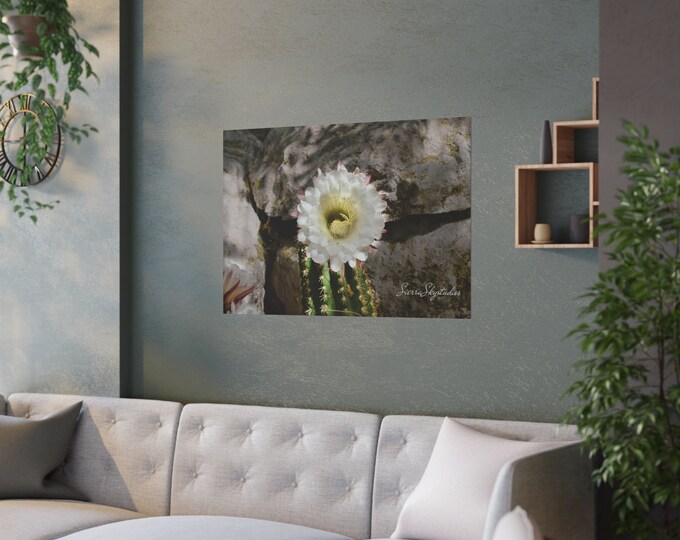 Featured listing image: Cactus Bloom High Quality Print; Photography Print; Poster