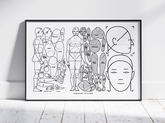 Human Anatomy Chart Vintage School Poster Vintage Human Biology Diagrams