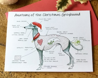 greyhound presents