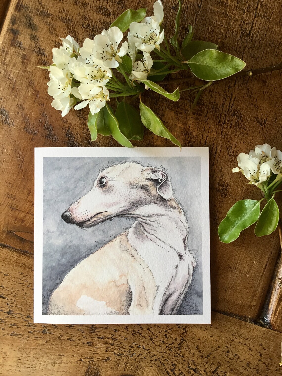 Whippet card whippet gifts whippet owners sighthounds Etsy