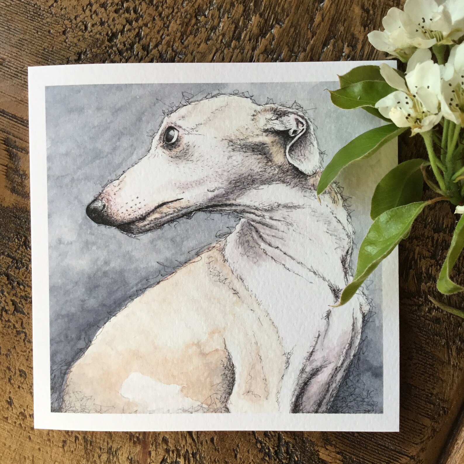Whippet card whippet gifts whippet owners sighthounds Etsy