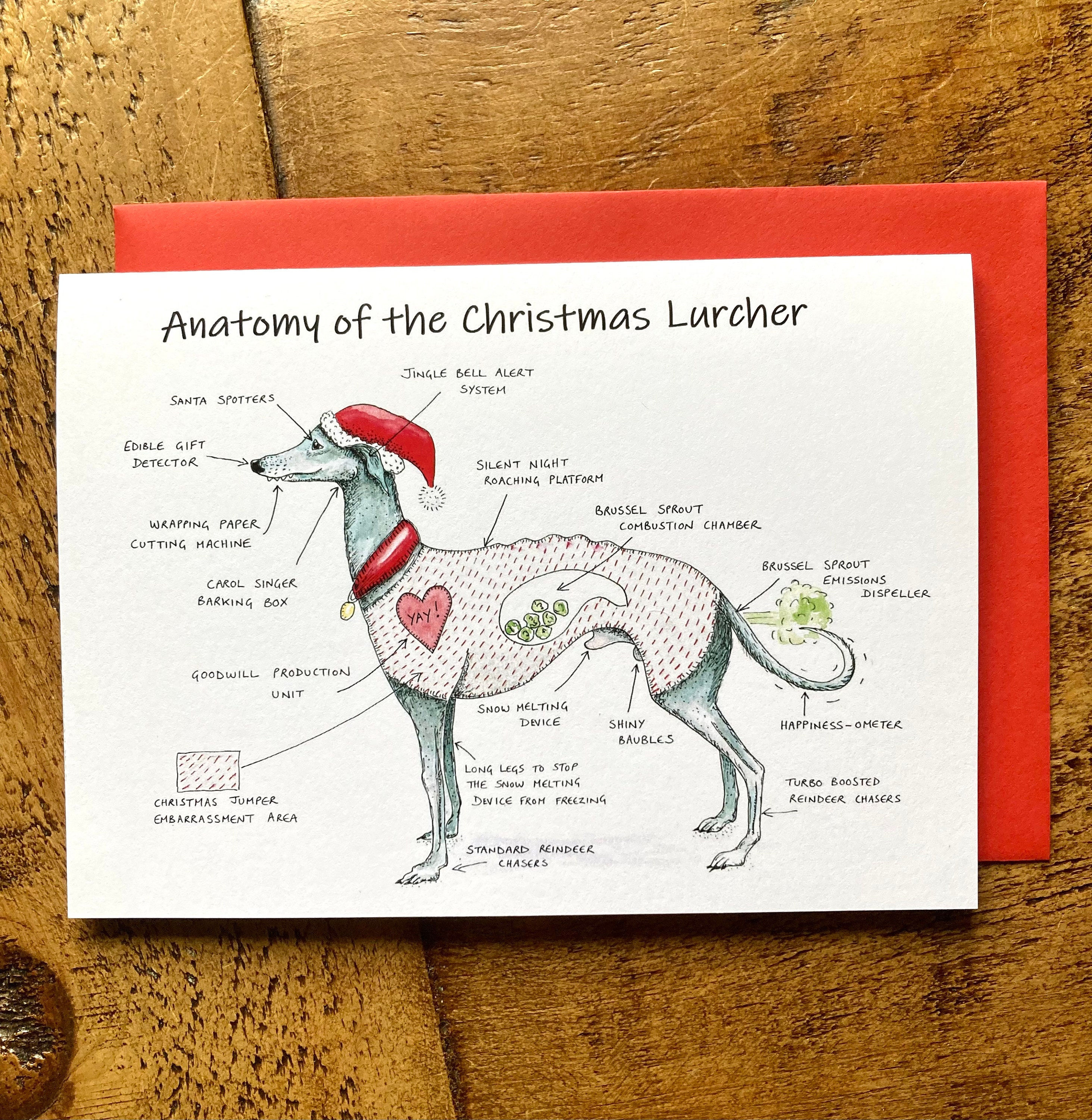 Funny Lurcher Gifts 60 Gift Ideas for 2024