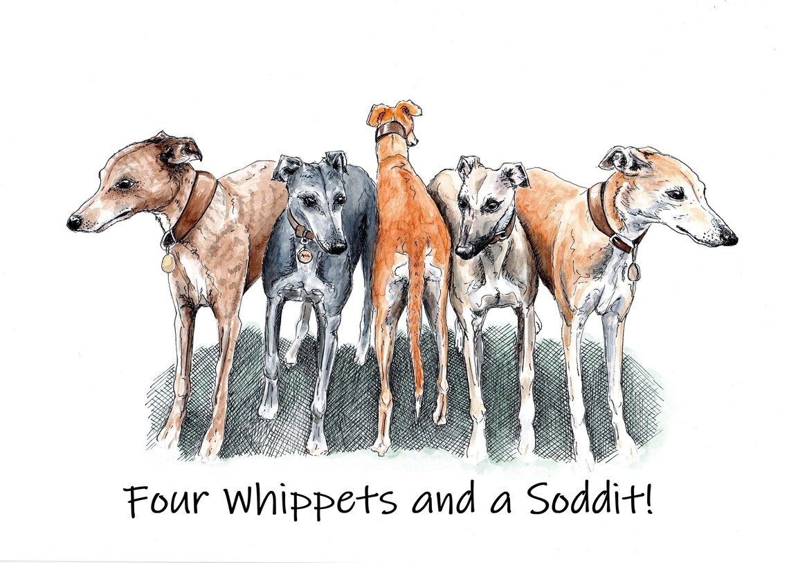 Funny Whippet Card Whippets Whippet Card Whippet Owners Etsy