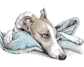 Whippet card, Whippet greetings card, sighthound card, Lurcher greetings card