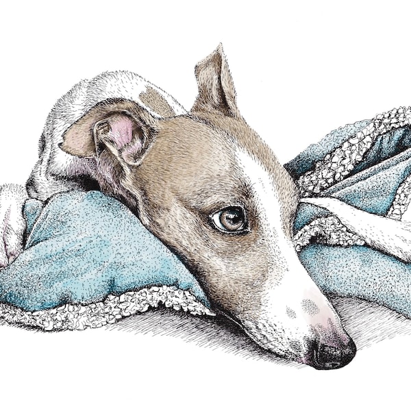 Whippet card, Whippet greetings card, sighthound card, Lurcher greetings card