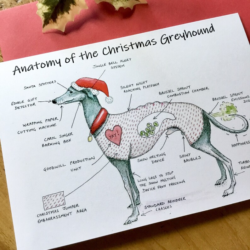 Greyhound Christmas Card Funny Greyhound Christmas Card Etsy