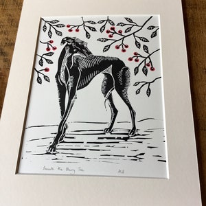 May include: Black and white linocut print of a greyhound dog beneath a cherry tree. The dog is the focal point, with detailed linework. Red cherries and green leaves are scattered throughout the branches. The print is matted in a cream-colored mat.