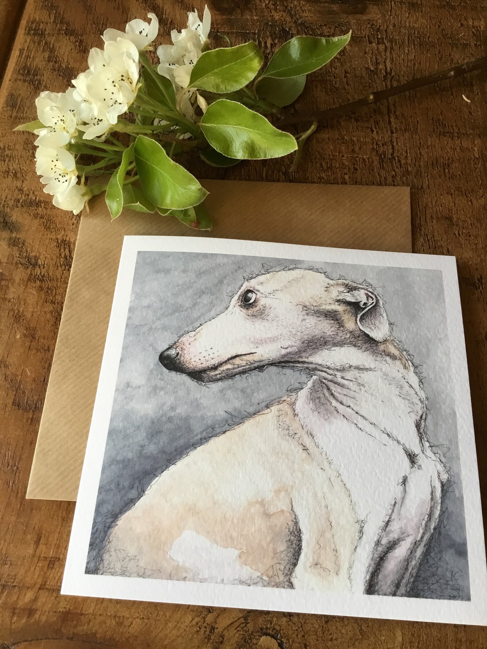 Whippet card whippet gifts whippet owners sighthounds Etsy