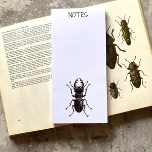 May include: A white notepad with the word "NOTES" in black, featuring a black insect illustration. The notepad rests on an open vintage book with insect illustrations and text. The background is a textured grey surface.