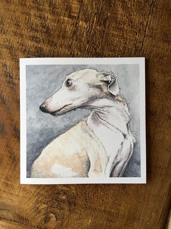 Whippet card whippet gifts whippet 