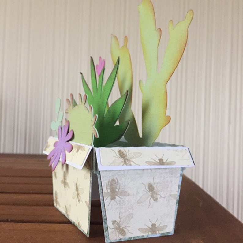 Pop-Up Blank Succulents Box Card