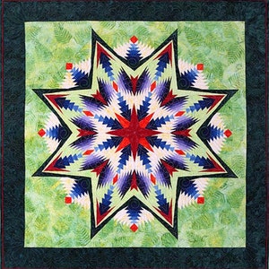 Könnte beinhalten: Ein farbenfroher Quilt mit einem großen, sternförmigen Design in Rot-, Blau-, Weiß- und Grüntönen. Der Stern ist von einem grünen Hintergrund mit einem dezenten Muster umgeben.