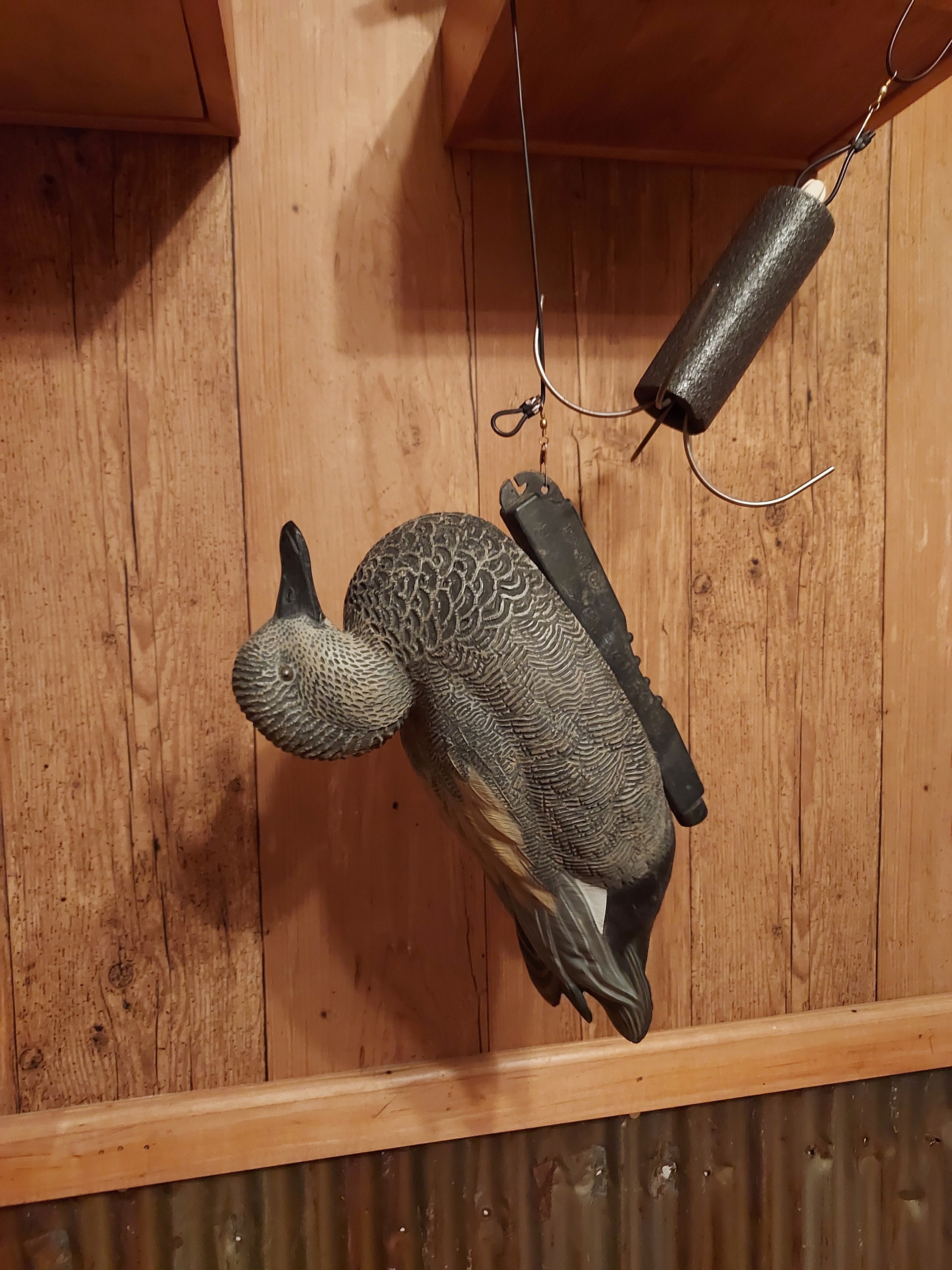 Waterfowl retrieval tool