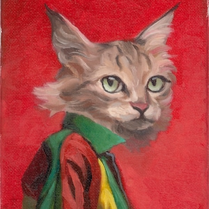 Gato con chaqueta