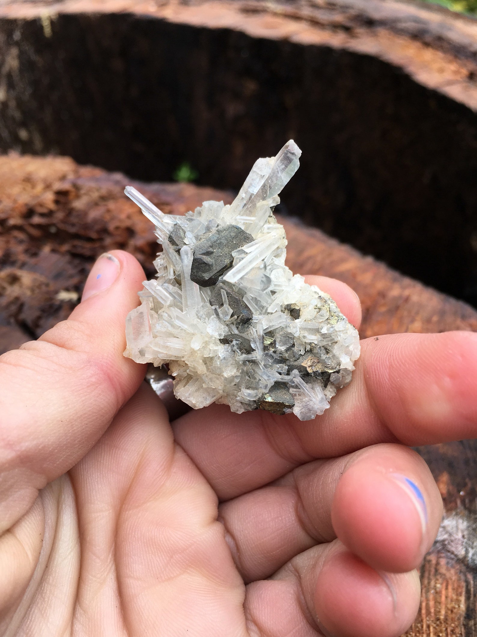 Iron Pyrite With Quartz Etsy