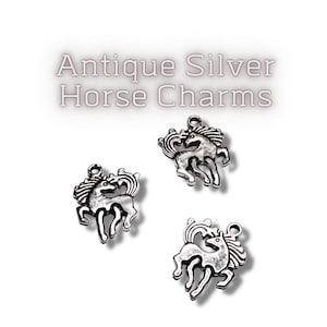 Fancy Prancing Horse Charms