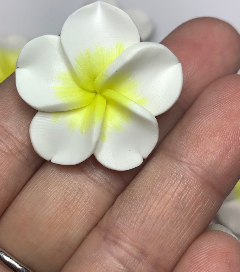 10 Plumeria Polymer Clay Flowers White 30mm