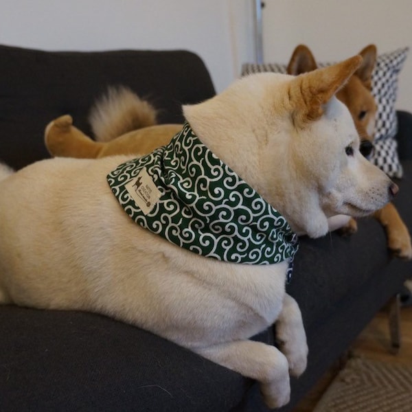 Shiba Inu Chien Bandanas Réversible au motif Japonais Karakusa 唐草 Double face vert et bleu