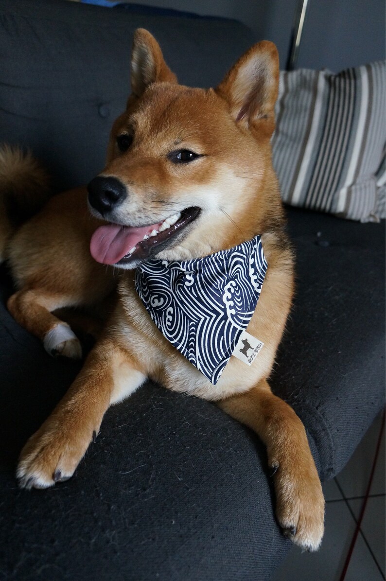 Shiba Inu Perro Bandana con motivo japonés ' SEIGAIHA Cara