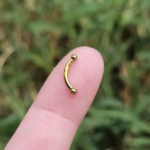 Anodized Titanium TINY 2mm Ball Internally Threaded Minimalist Rook Snug Cartilage Earring, Curved Barbell, Eyebrow Ring, Vertical Labret