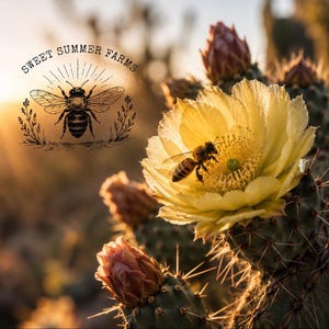 Op de afbeelding: Een bij bestuift een heldergele bloem op een cactus. De afbeelding toont de tekst "Sweet Summer Farms" met een bijenillustratie. De achtergrond is wazig met warm zonlicht.