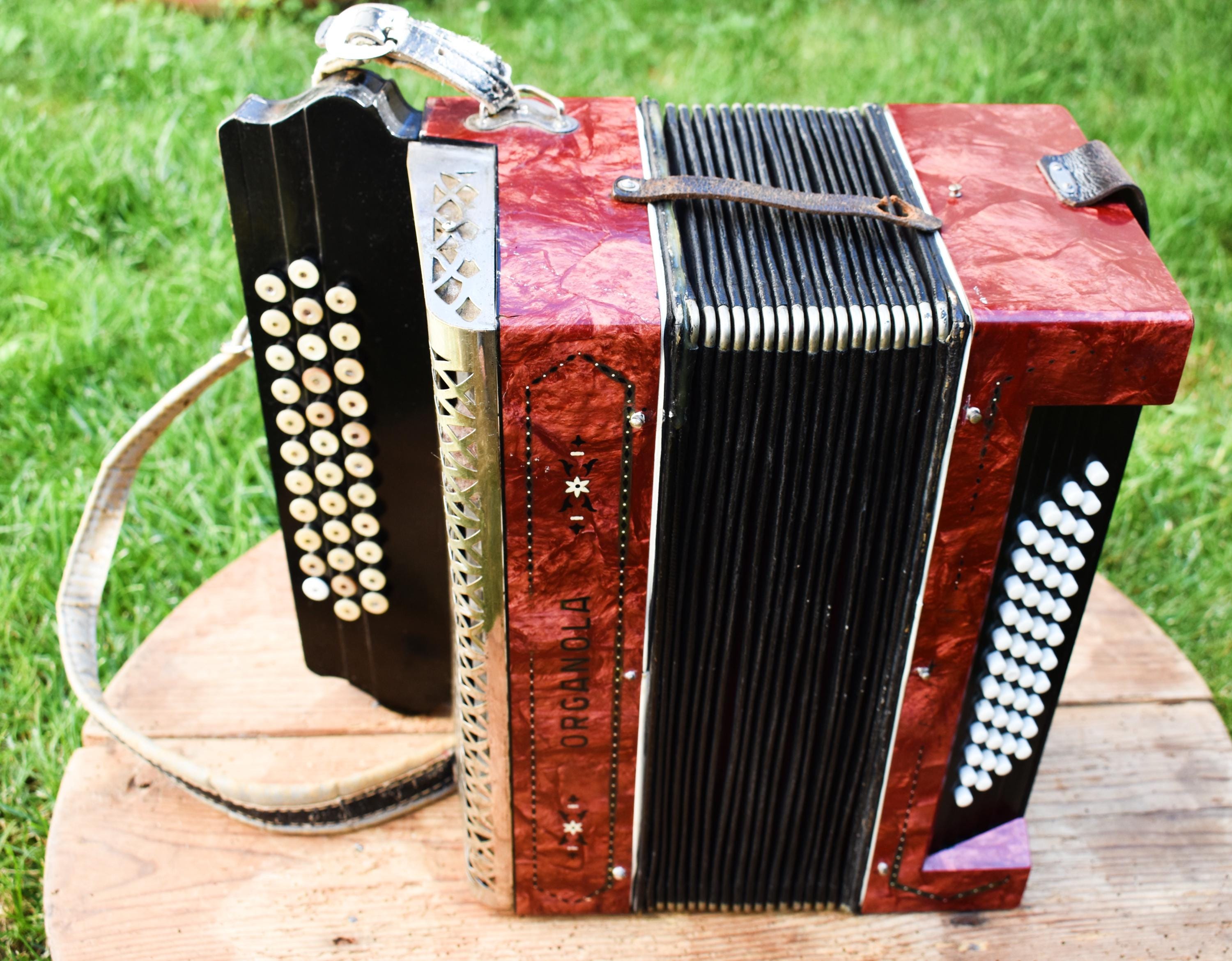 ヴィンテージ オルガノラ アコーディオン：34鍵、48ベース - Etsy 日本