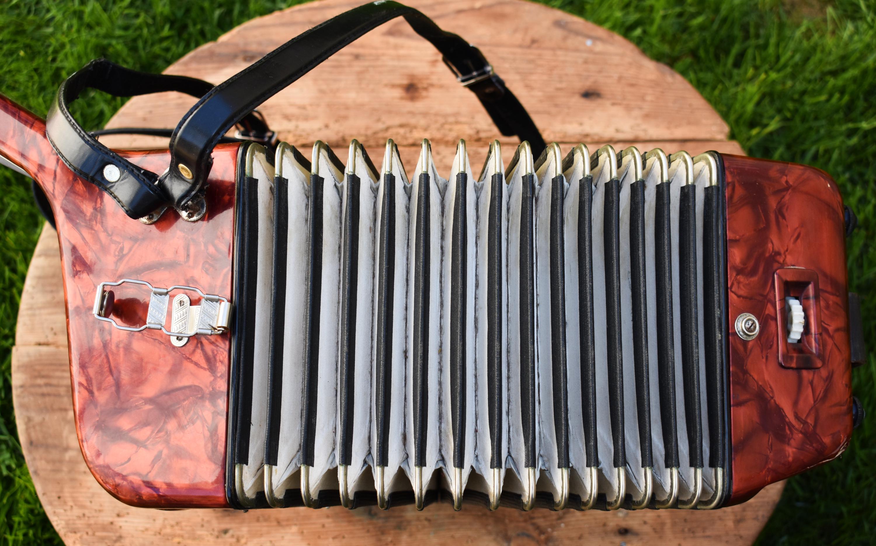 ヴィンテージ ヴェルトマイスター アコーディオン: 40 ベース、修復